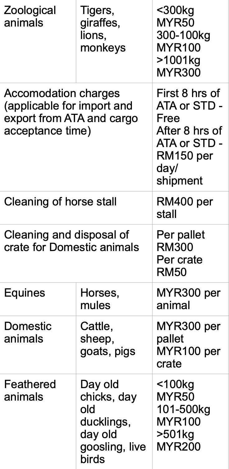 All you need to know about flying with your pet Petfriendly airline